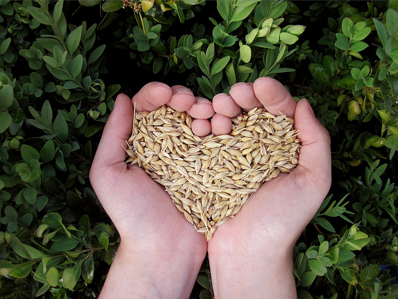 Heart Hand Food